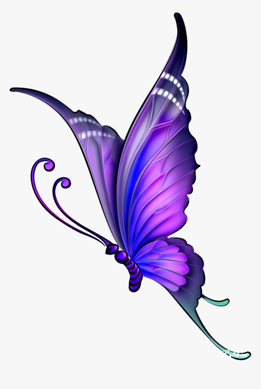 Красиво png. Бабочки. Изображение бабочки. Красивые бабочки на прозрачном фоне. Бабочки на просроченном фоне.