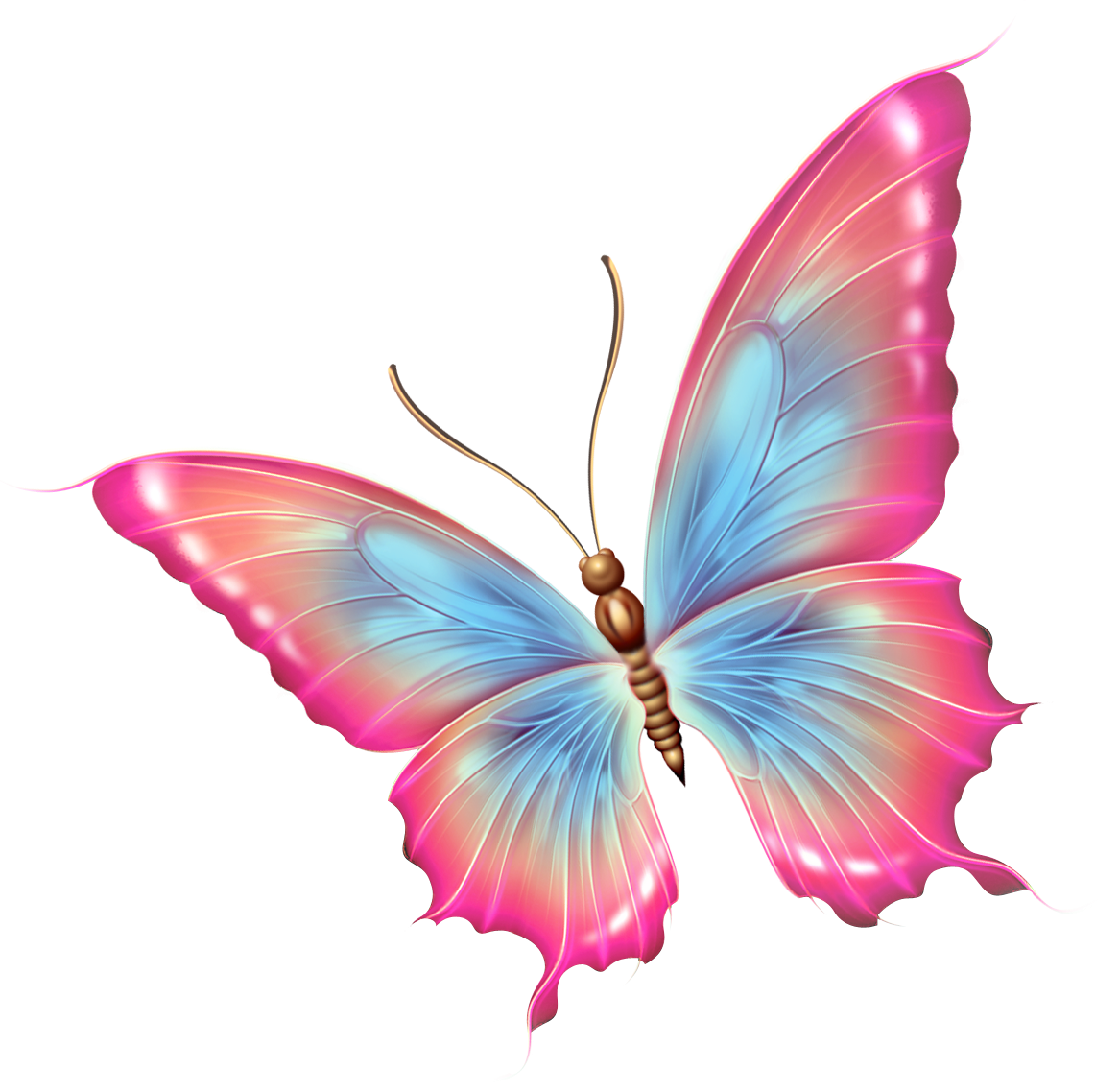Картинки на прозрачной основе. Розовые бабочки. Бабочки на просроченном фоне. Бабачкина прозрачном фоне. Бабочки на белом фоне.