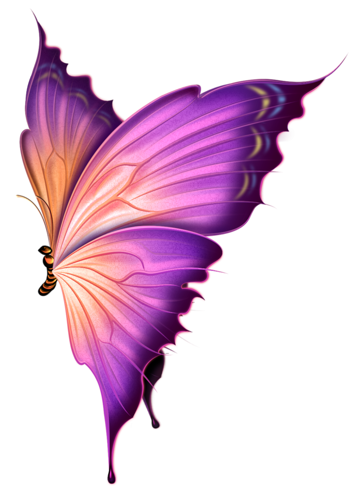 Пнг изображения. Сиреневые бабочки. Бабочка фиолетовая. Красивые бабочки на прозрачном фоне. Бабочка рисунок.