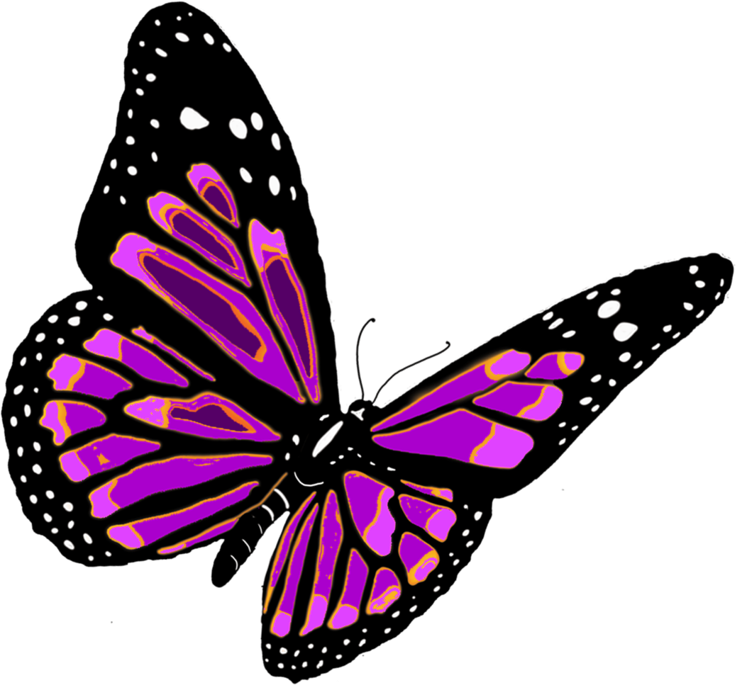 Прозрачном фоне формата png. Бабочка рисунок на прозрачном фоне. Бабочка без фона. Красивые бабочки на прозрачном фоне. Картинка бабочка на прозрачном фоне.