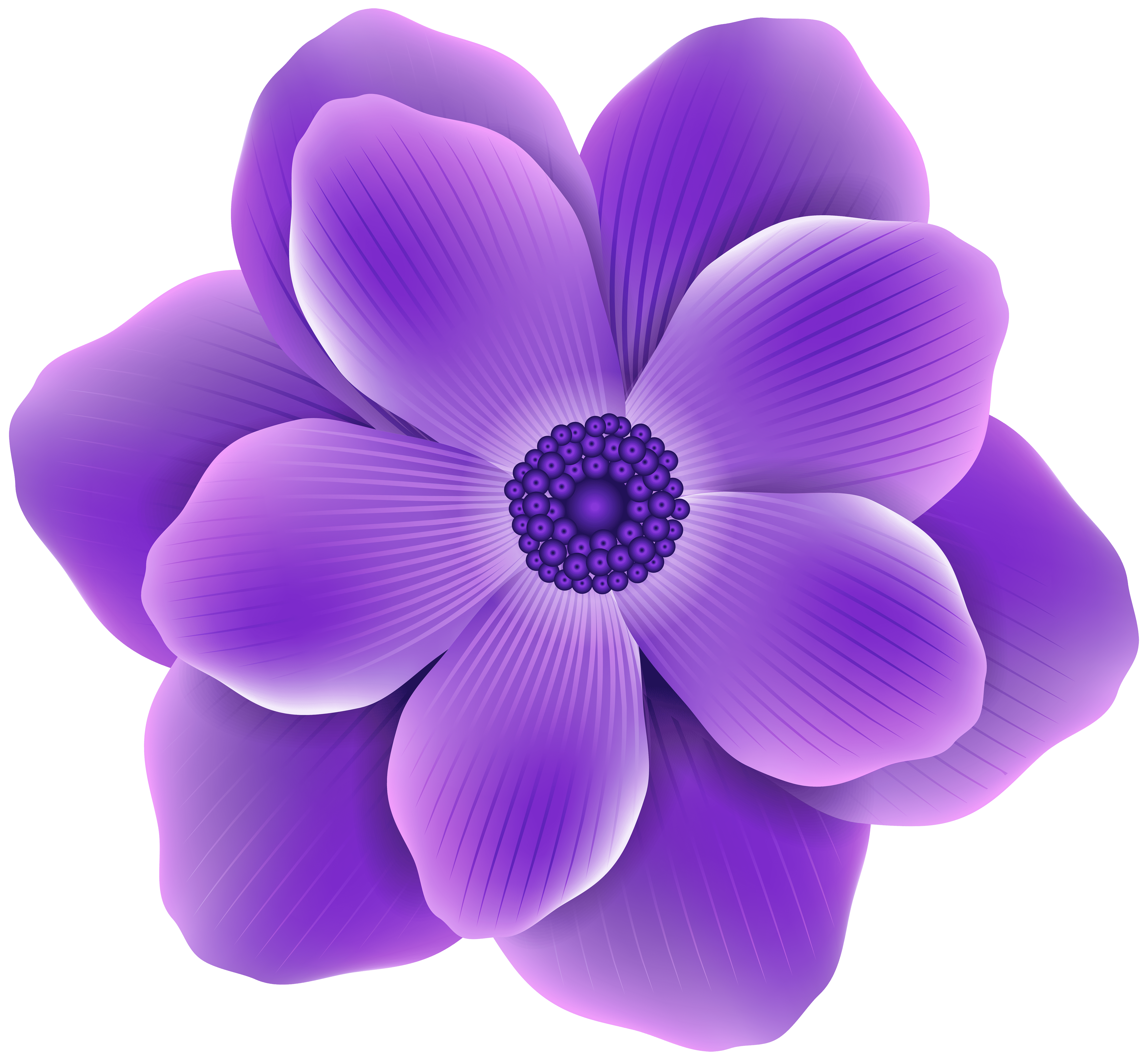 Цветочек. Сиреневые цветы. Фиолетовые цветы. Цветы без фона.