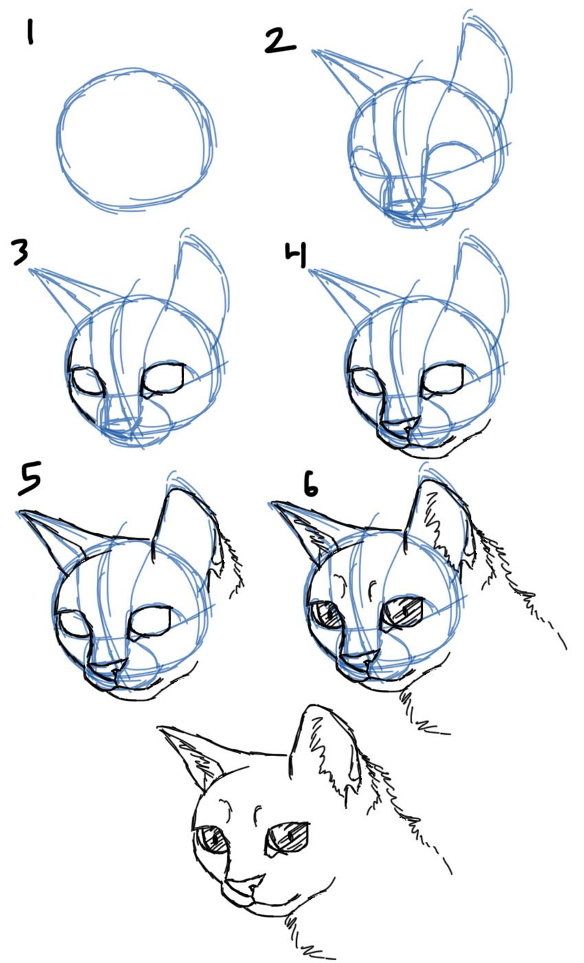 Пошаговое рисование котенка