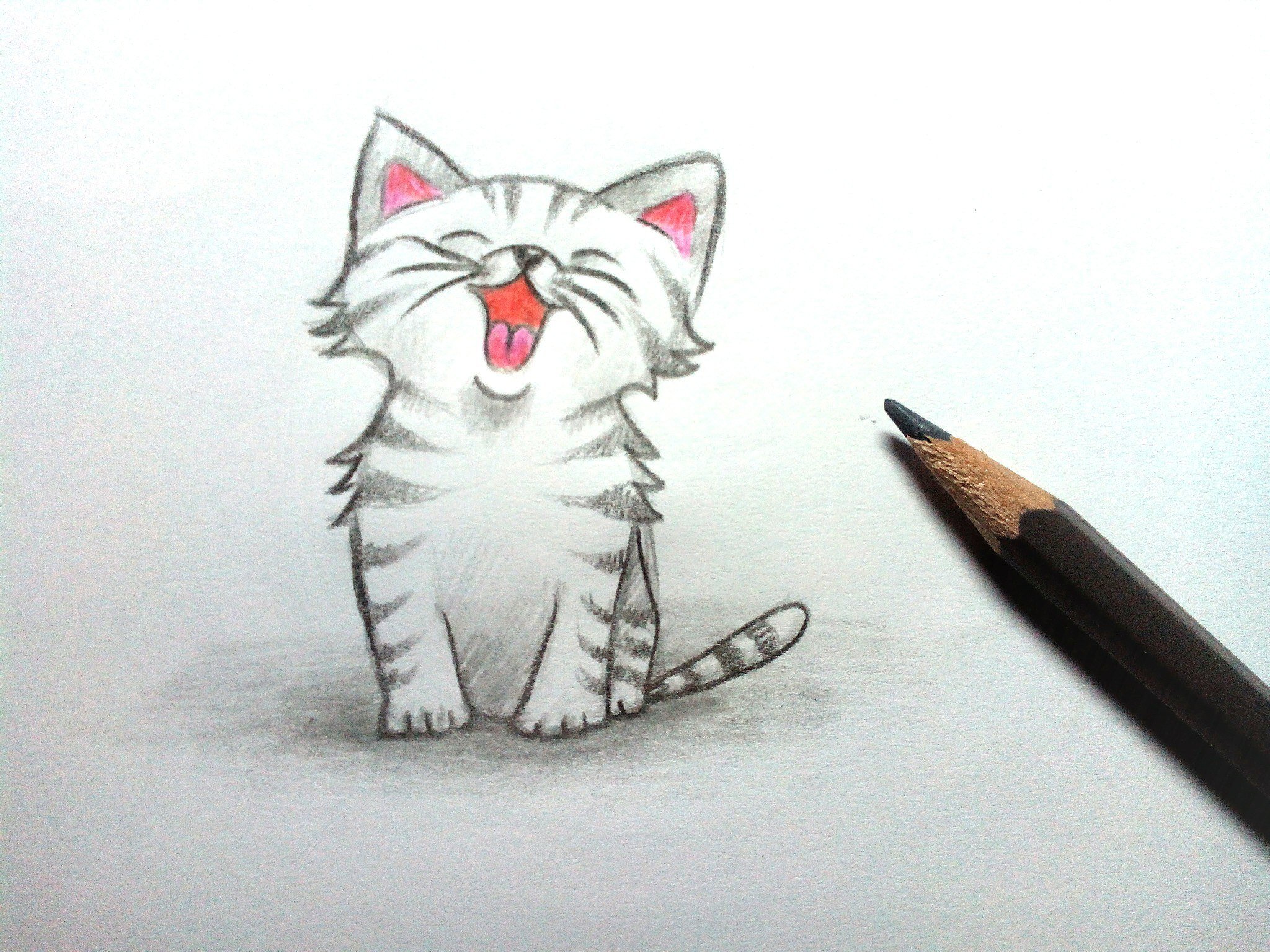 Милый котик рисунок карандашом легкий. Рисунки котиков. Красивые рисунки несложные. Котик рисунок карандашом. Рисунки лёгкие и красивые.