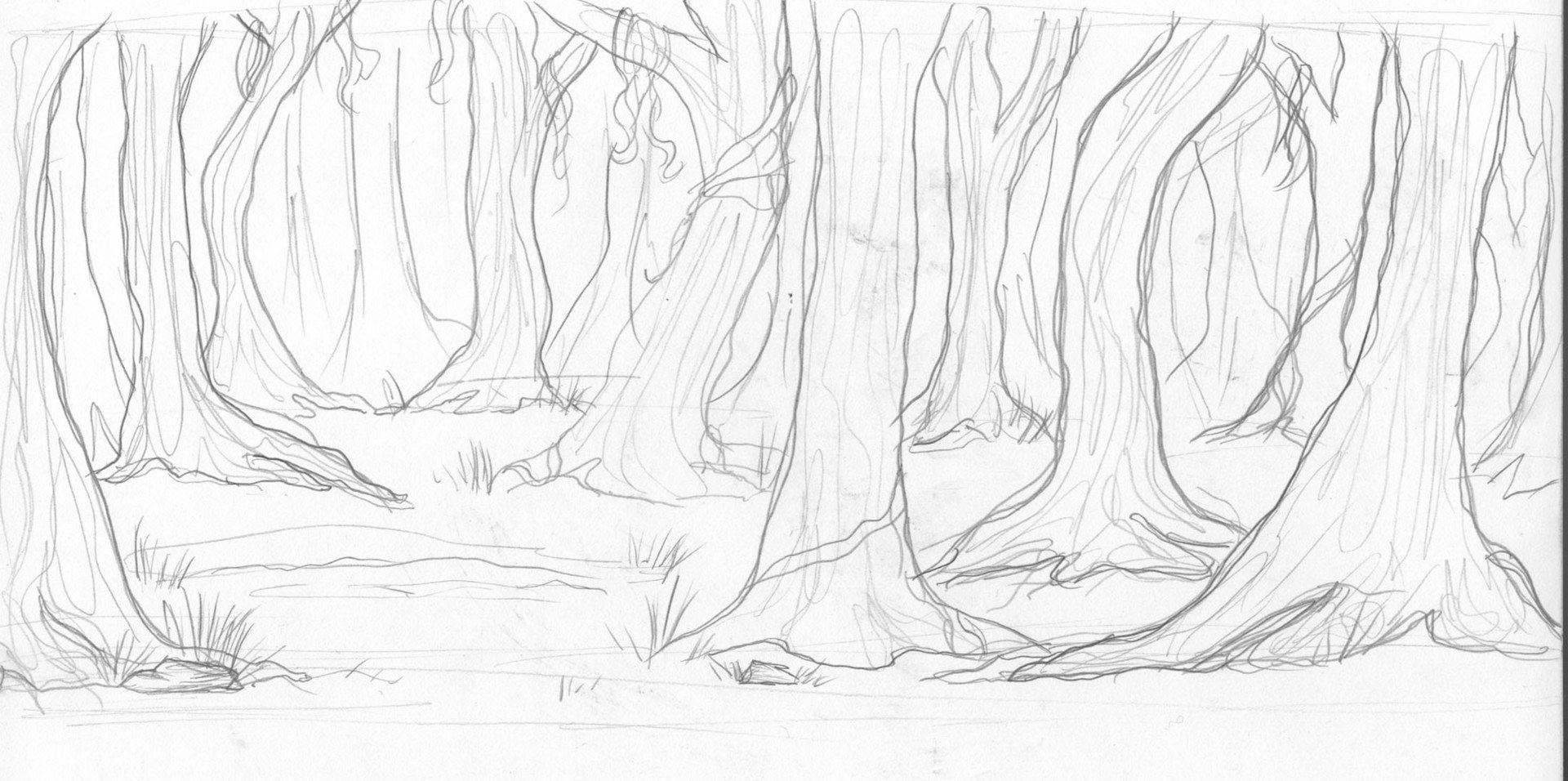 Лес карандашом легко. Рисунок лес карандашом для срисовки. Лес карандашом для начинающих. Нарисовать лес карандашом. Сказочный лес карандашом.