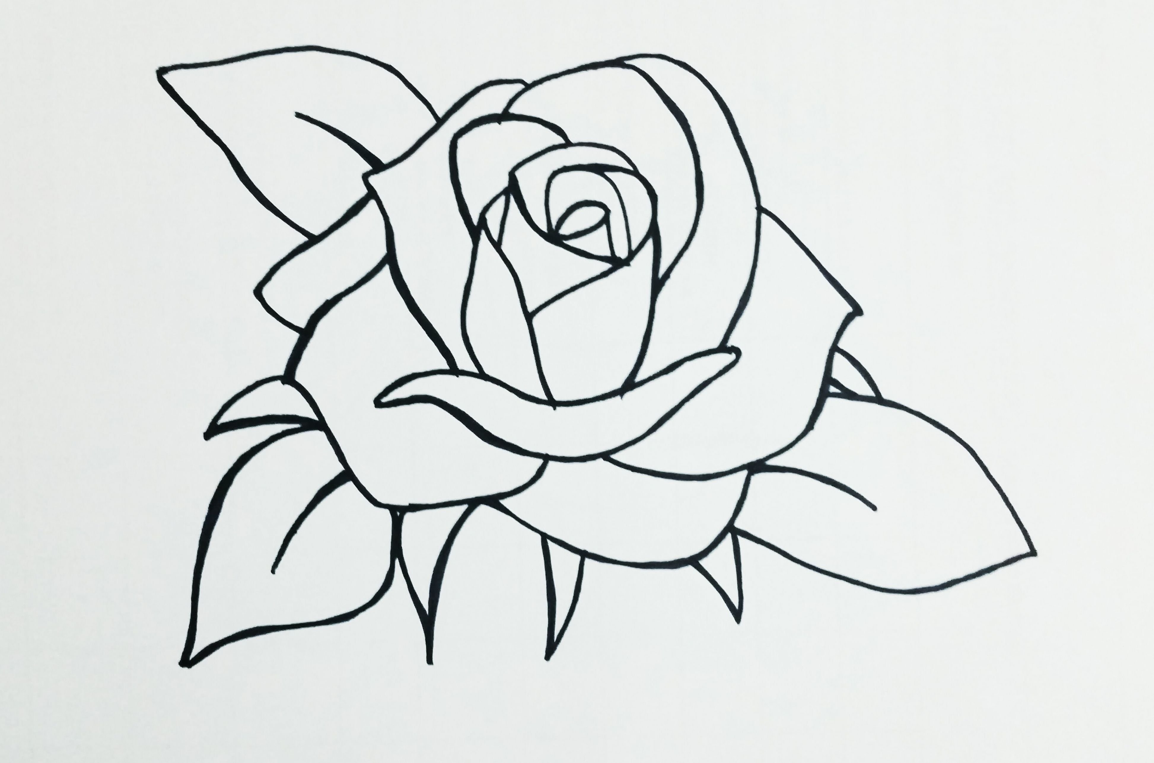 Рисунок розы для срисовки легкие