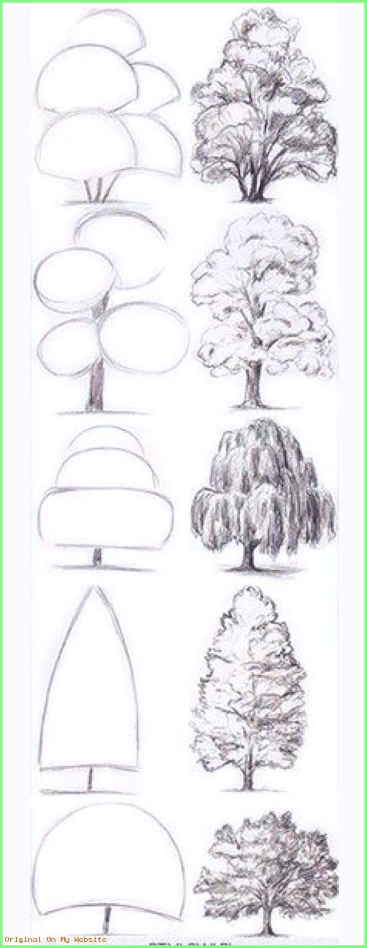 Деревья рисунок карандашом для начинающих