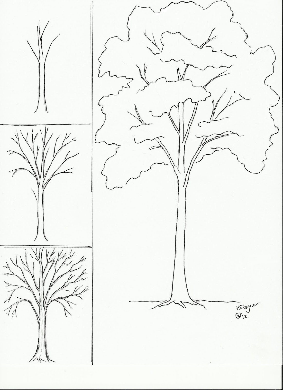 Поэтапное рисование дерева карандашом