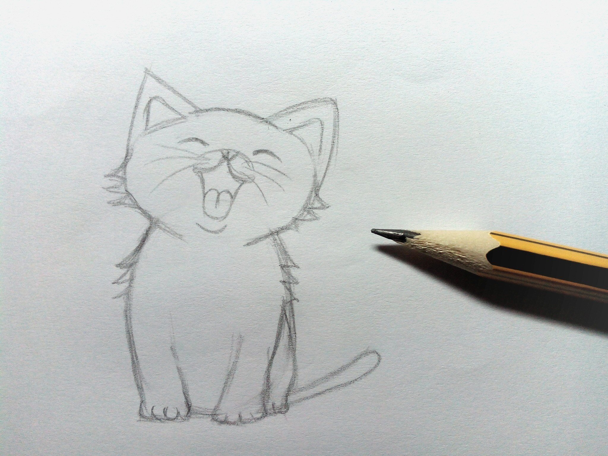 котик карандашом фото