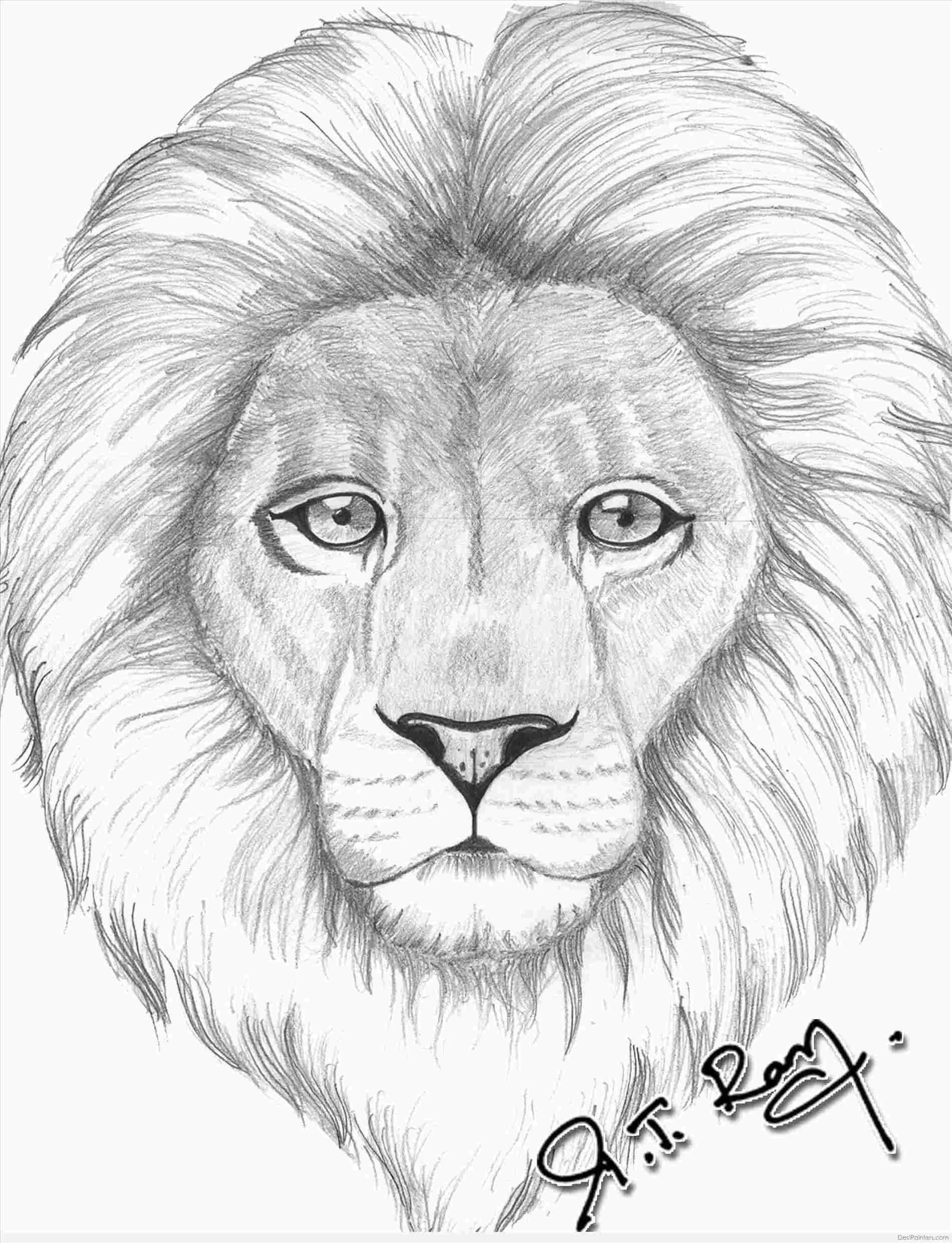 Морда Льва карандашом