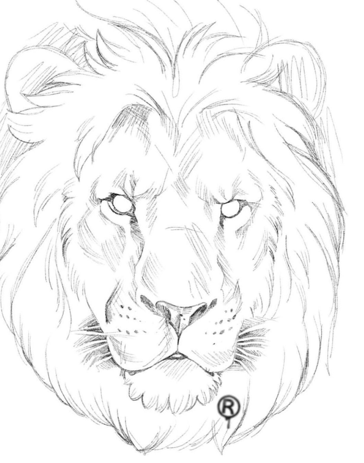 Картинки Льва для срисовки