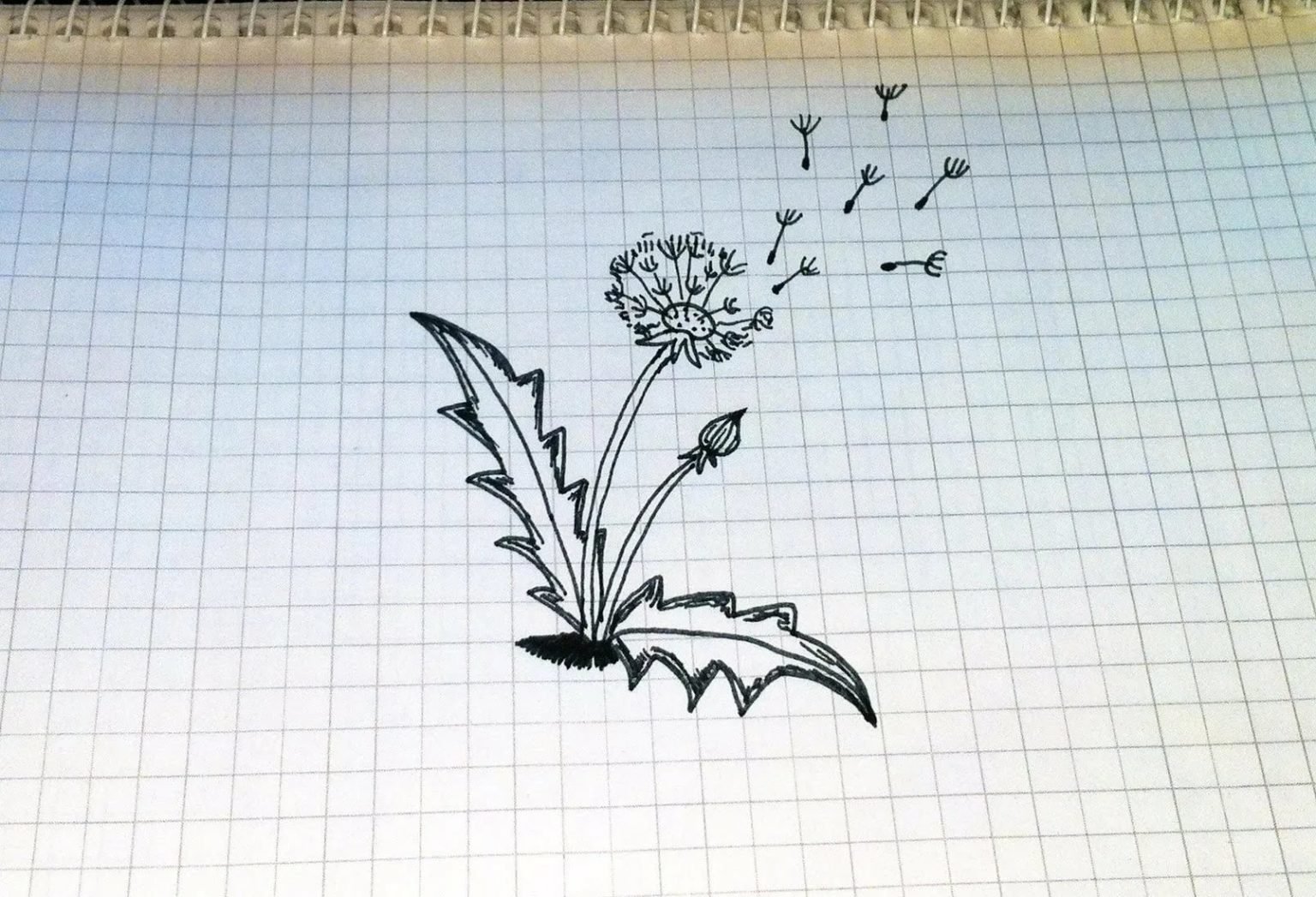 Красивые и простые рисунки ручкой
