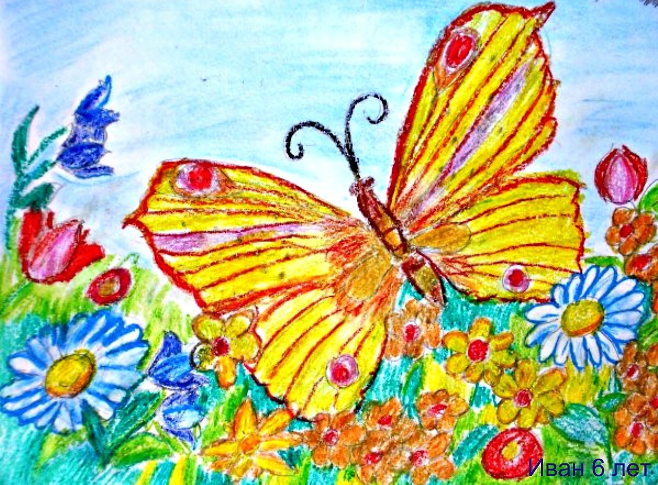 Рисование на тему бабочка