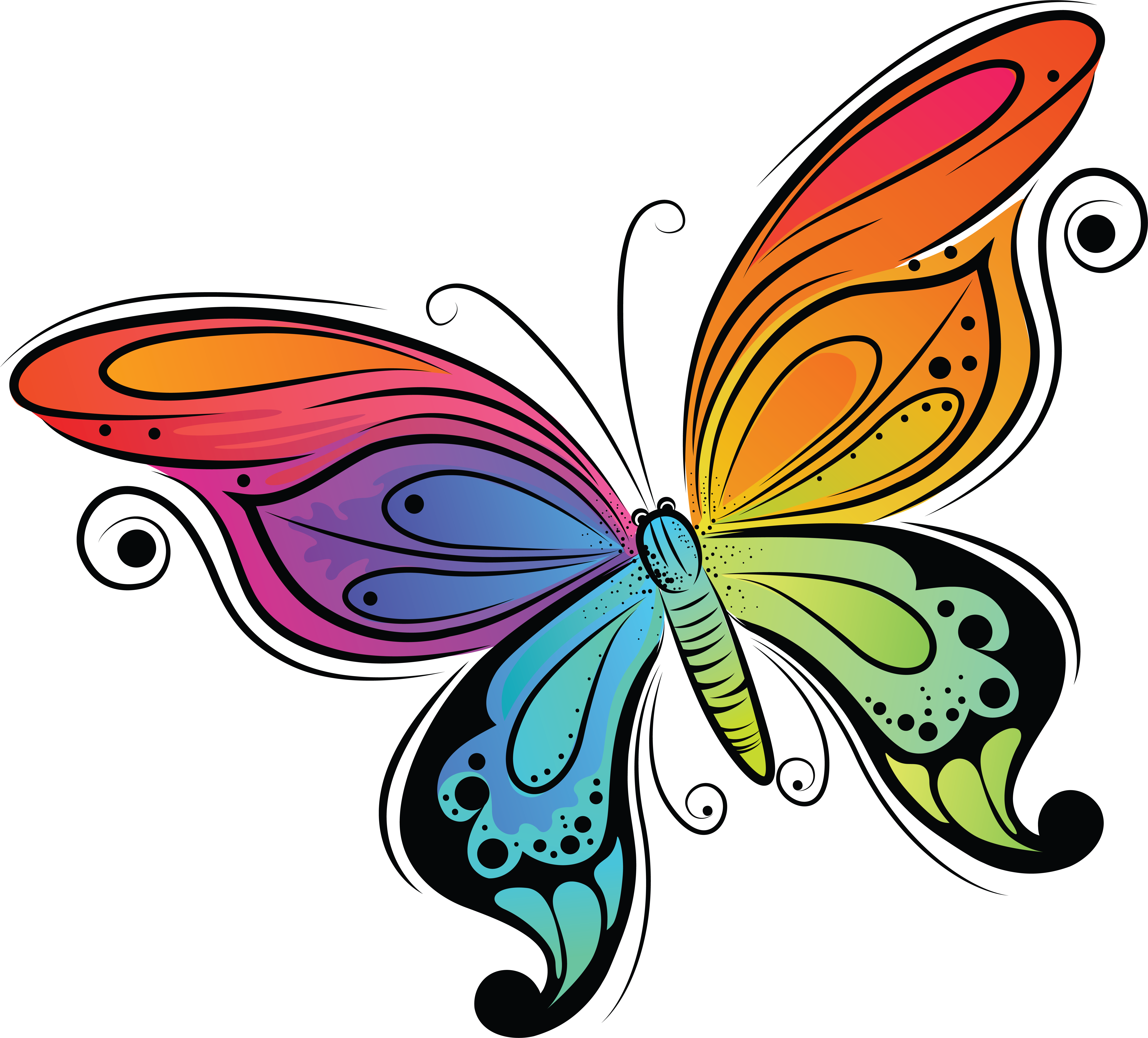 Без цветной рисунок. Бабочка рисунок. Разноцветные бабочки. Бабочки цветные. Красивая бабочка рисунок.