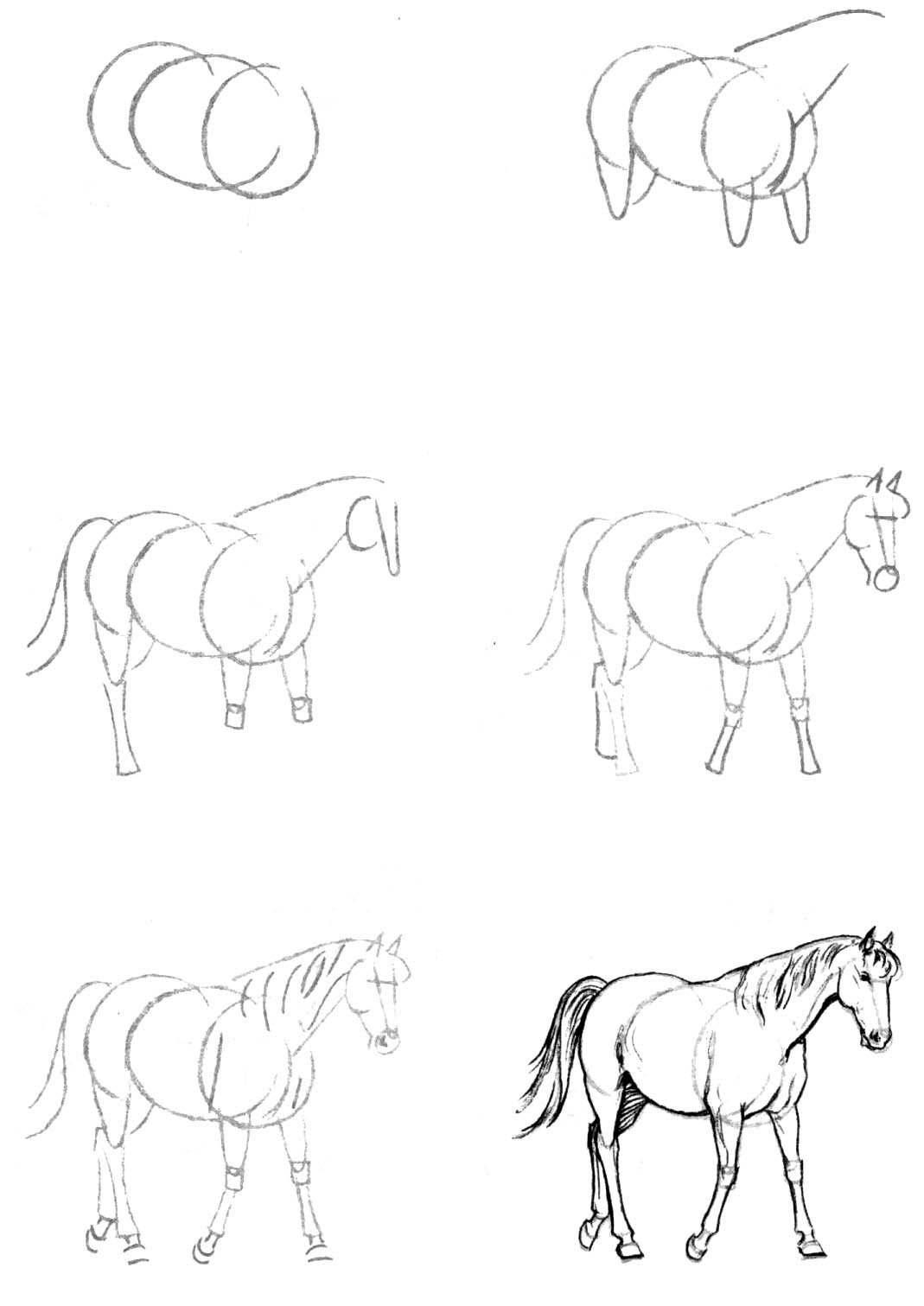 Нарисованные карандашом красивые поэтапно. Поэтапное рисование карандашом. Поэтапное рисование лошади. Лошадь рисунок карандашом. Рисунки для срисовки пошагово.