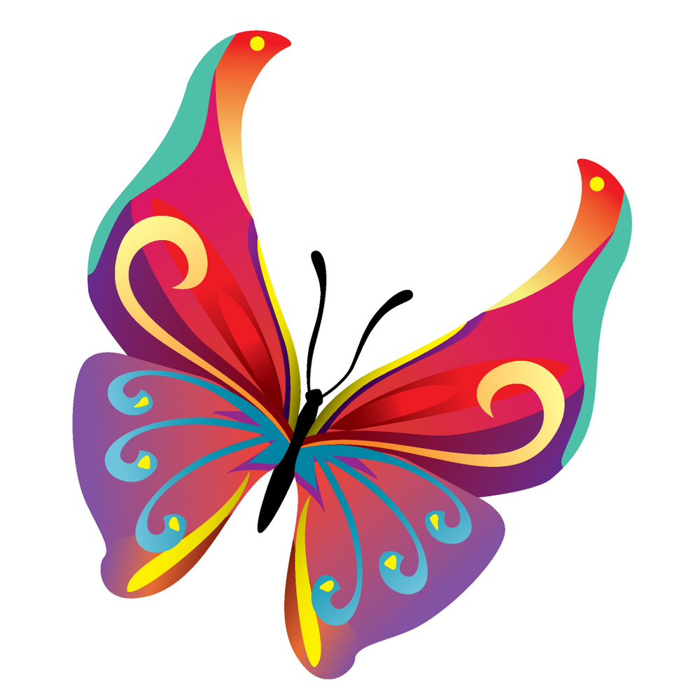 Бабочка скопировать. Бабочка рисунок. Бабочки на белом фоне. Бабочка картинка для детей. Бабочки мультяшные.