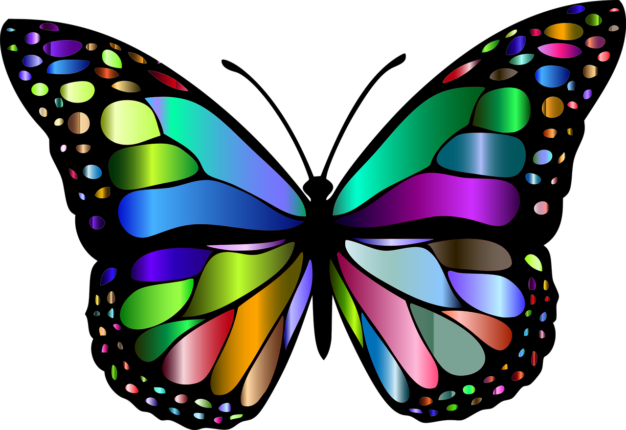 Без цветной рисунок. Красивые бабочки. Бабочки картинки. Яркие бабочки. Бабочка рисунок.