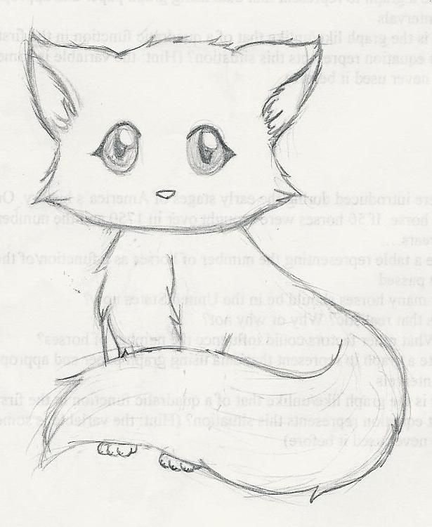 Рисунки для срисовки котики милые легкие карандашом для начинающих