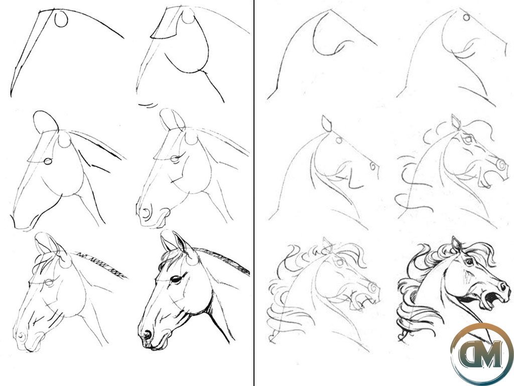 Красивые поэтапные рисунки для начинающих. Лошадь рисунок карандашом. Рисование морды лошади. Пошаговое рисование лошади. Лошадь рисунок пошагово.