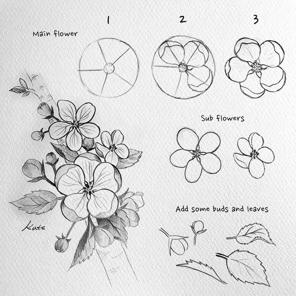 Пошаговые схемы рисования цветы