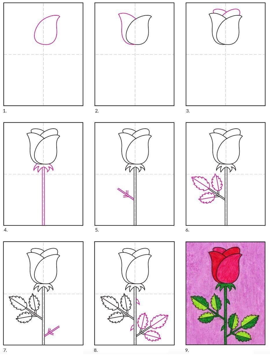 Рисование розы поэтапно для детей