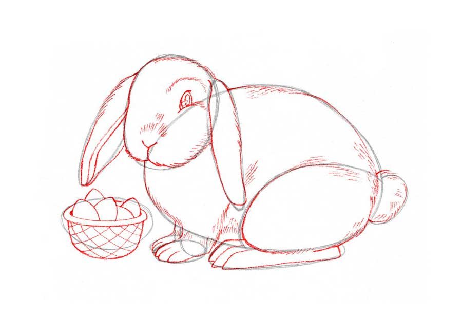 Нарисовать кролика карандашом. Кролик рисунок. Кролик рисунок карандашом. Рисунок кролика для срисовки. Рисование кролика поэтапно.