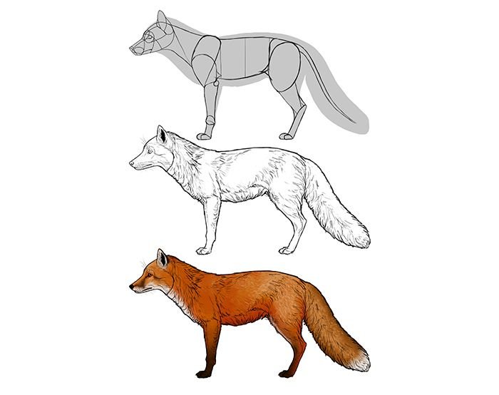 Изготовление фигуры лисы: оживите природу в вашем интерьере