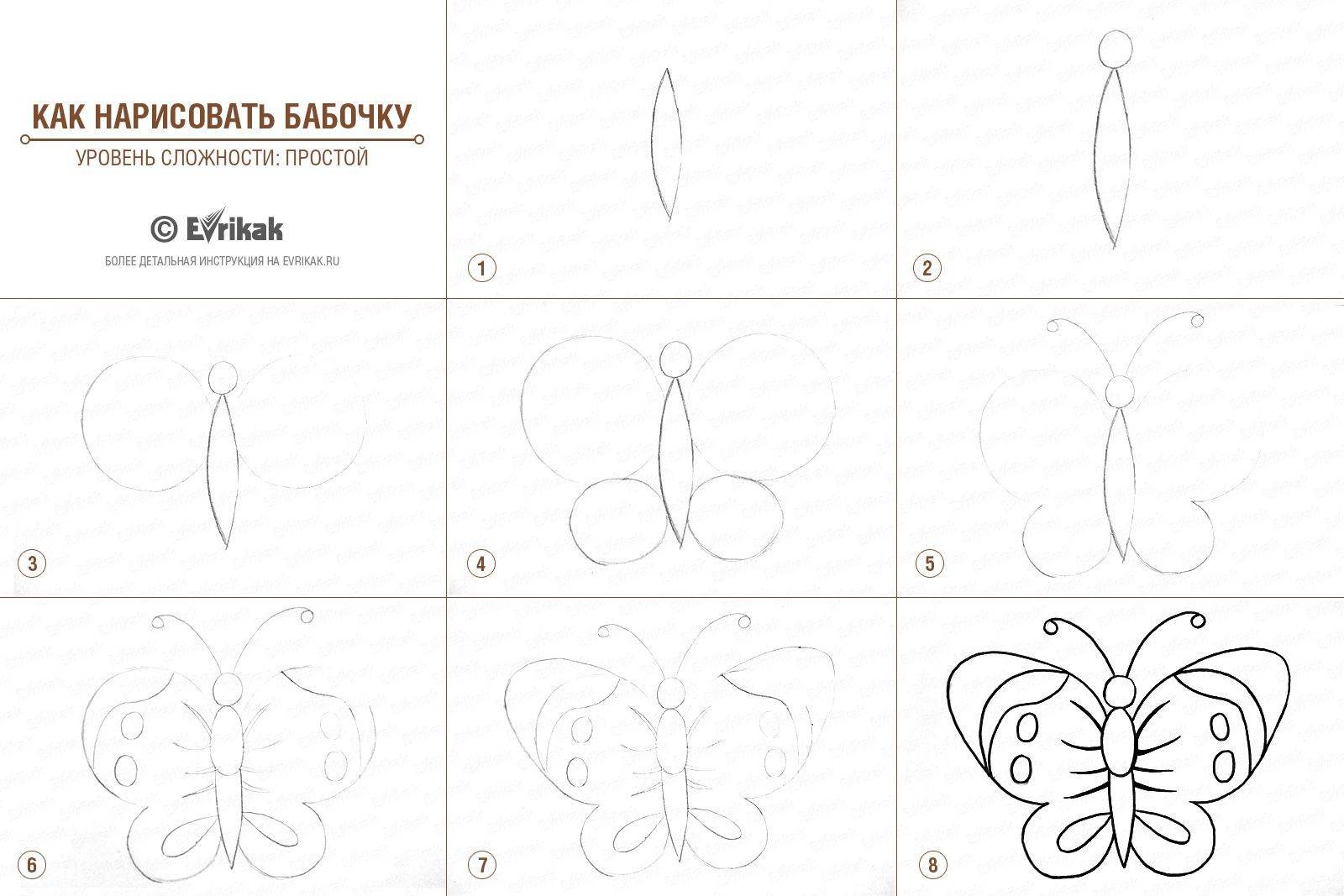 Бабочка поэтапное рисование для детей