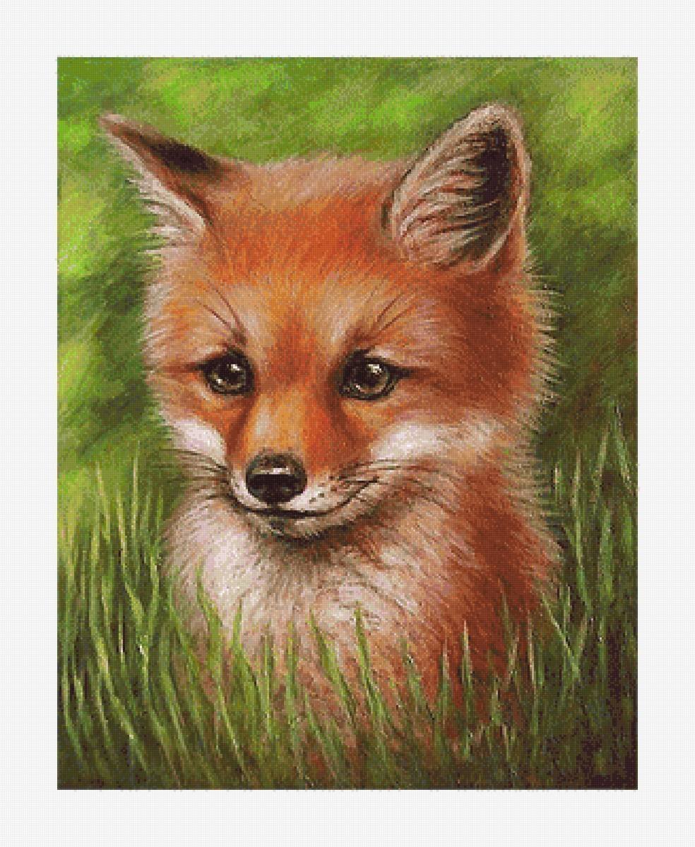 Рисунок животное лиса