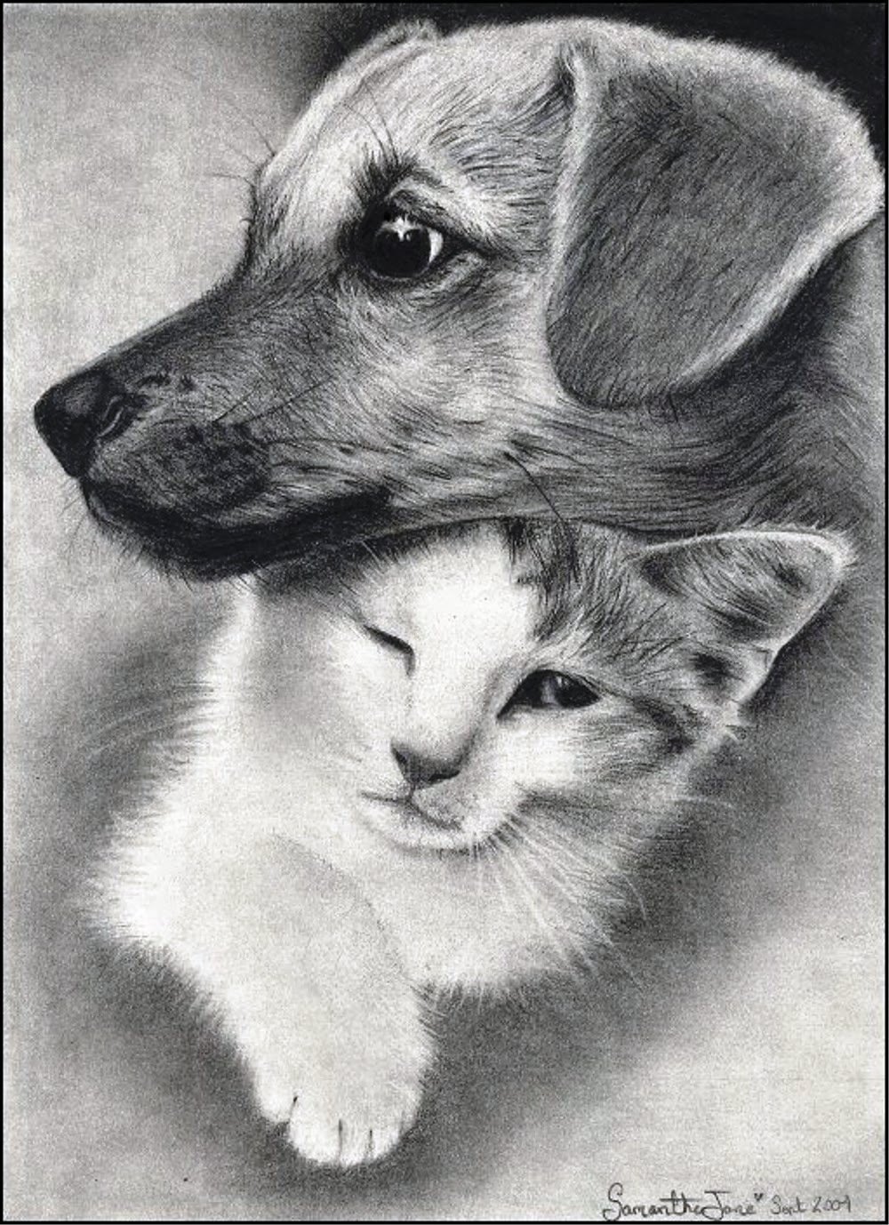 Щенок и кошка рисунок - 90 фото