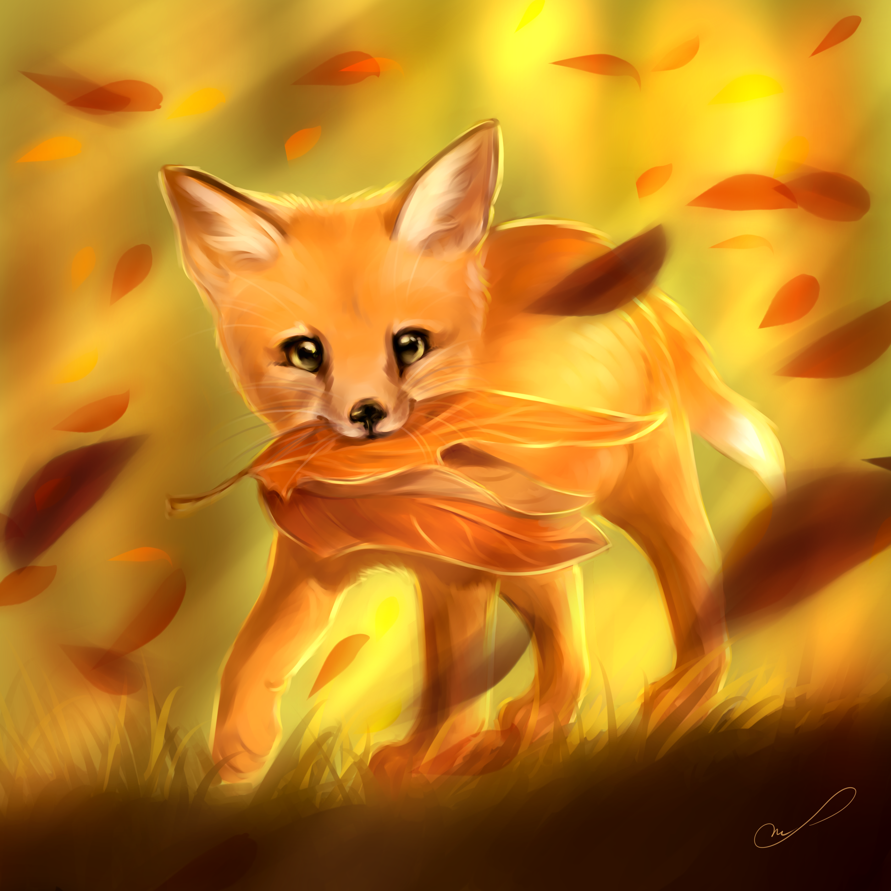 Лисена имя. Янтарная лиса. Красивая лиса. Осенний Лис. Лисенок рисунок.