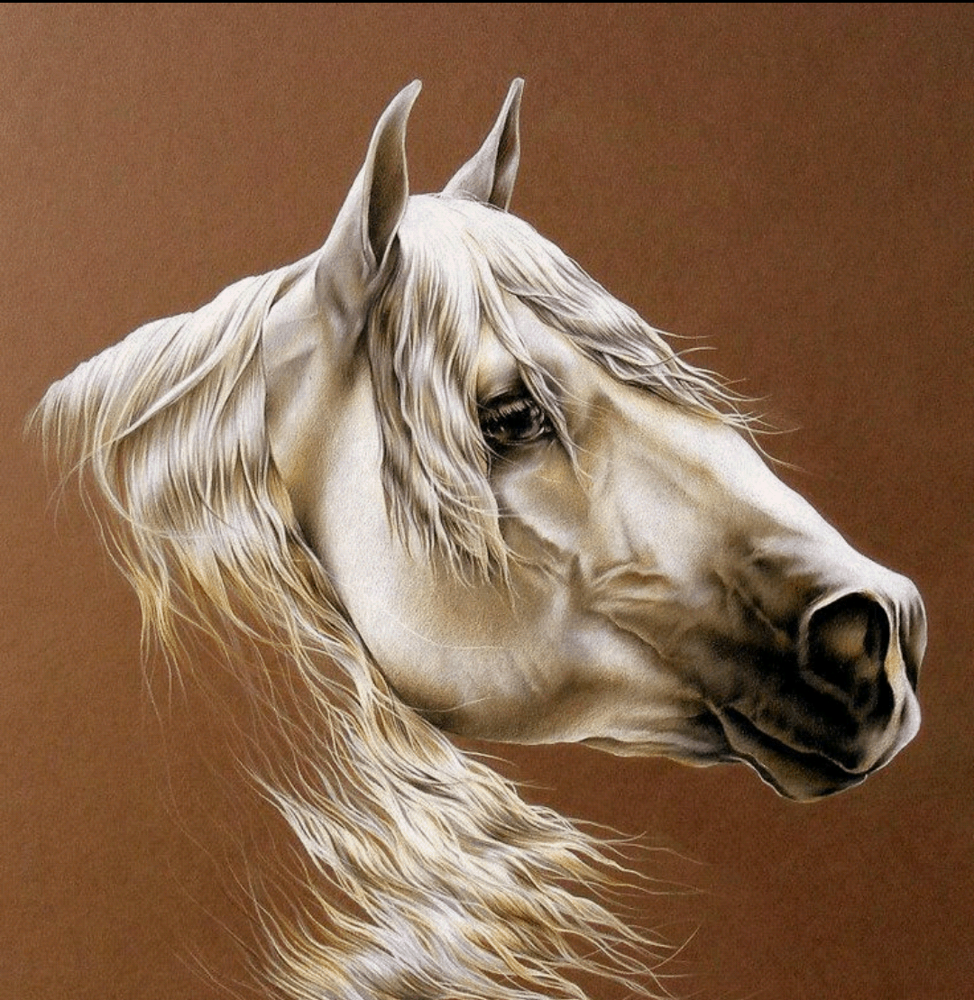 Красивая лошадь портрет