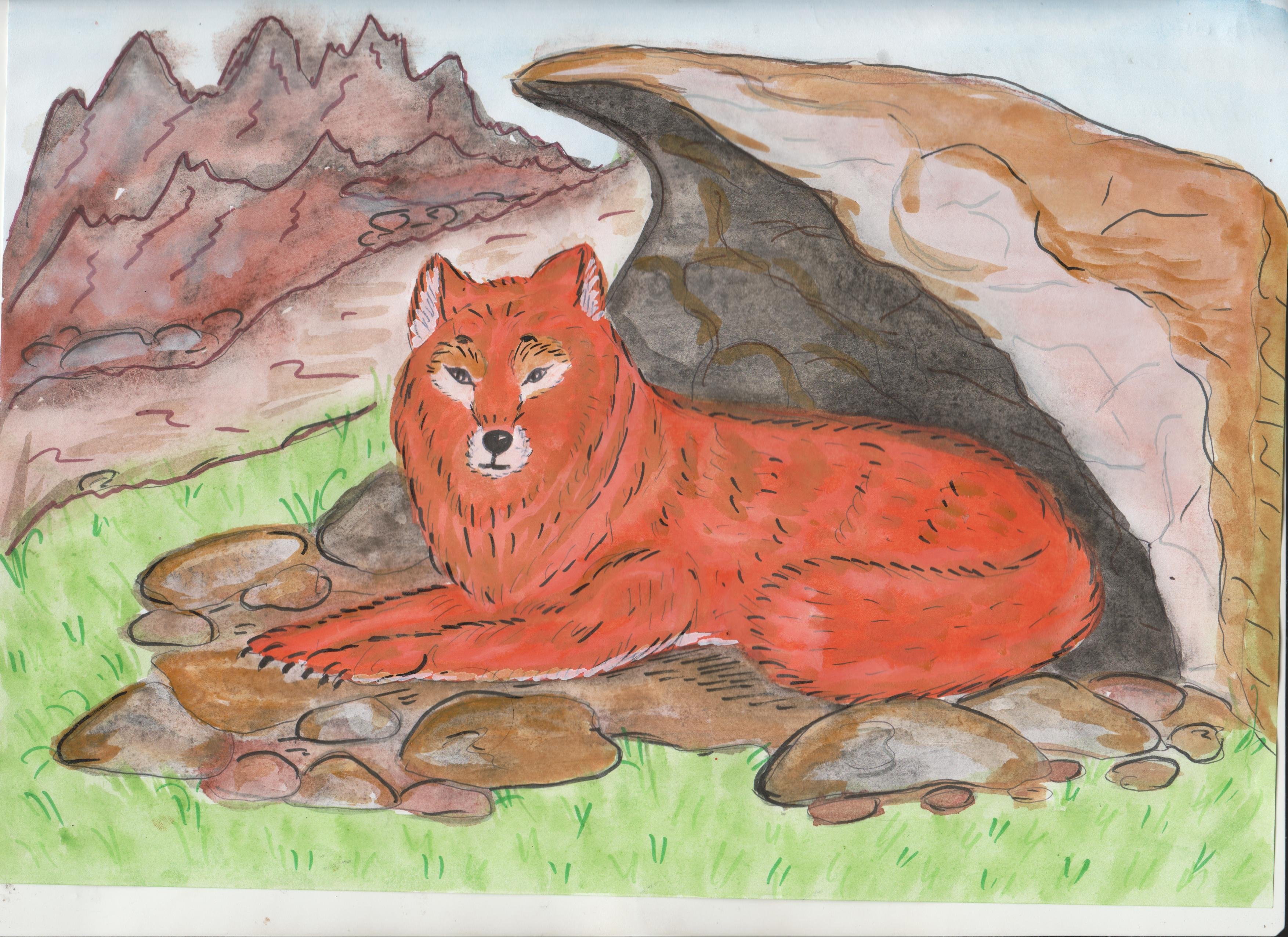 Красный волк из красной книги