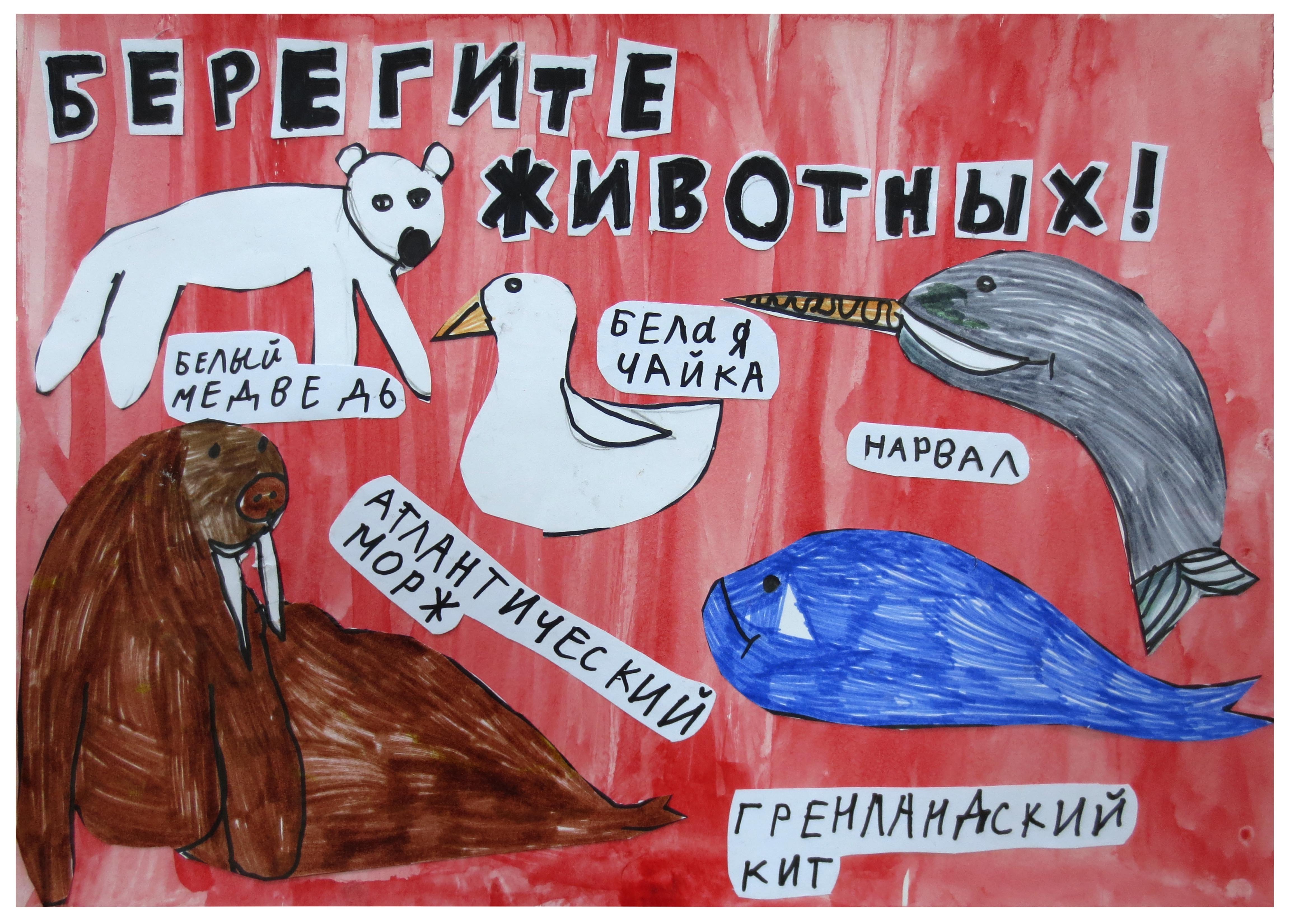 Плакат на тему береги животных