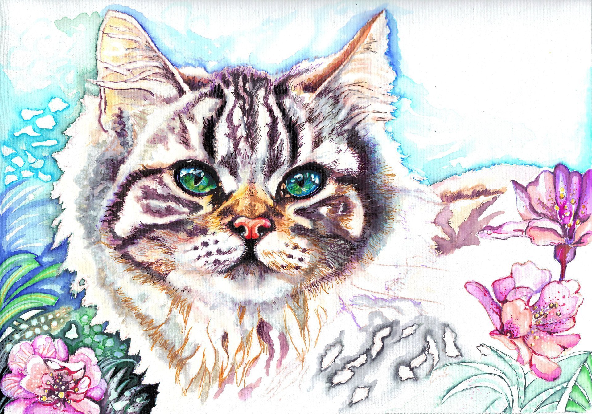 Кот рисунок