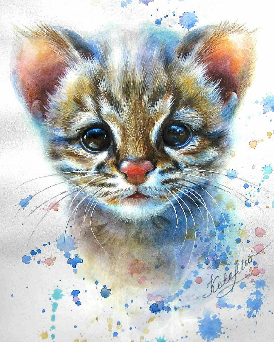 Цветные картинки кошек. Kate mur картины. Котенок цветными карандашами. Акварельные кошки. Котенок акварелью.