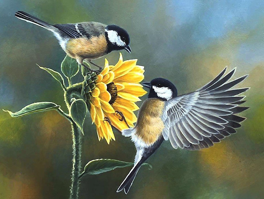Фото птицы рисунок