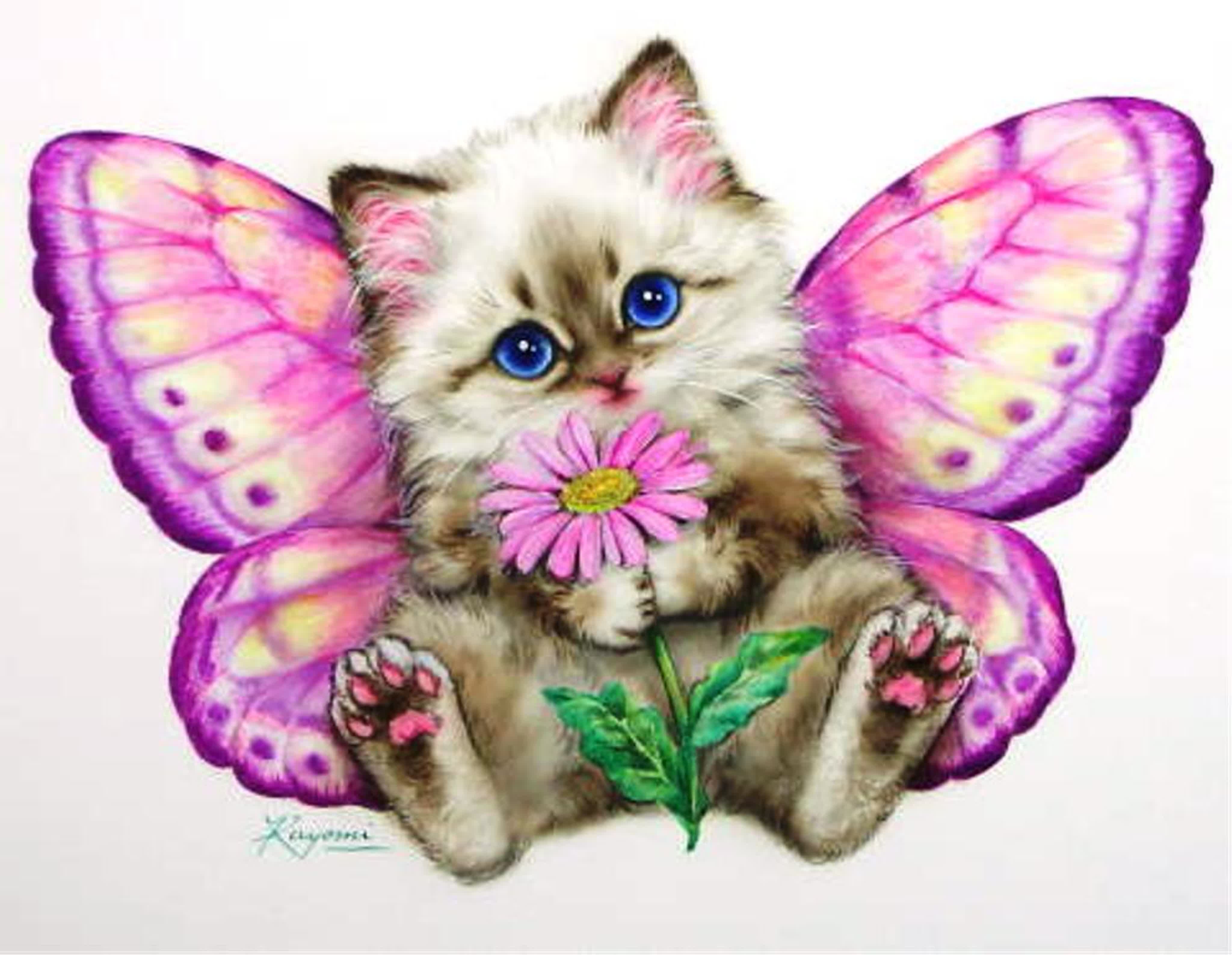 Милые котики с крыльями бабочки
