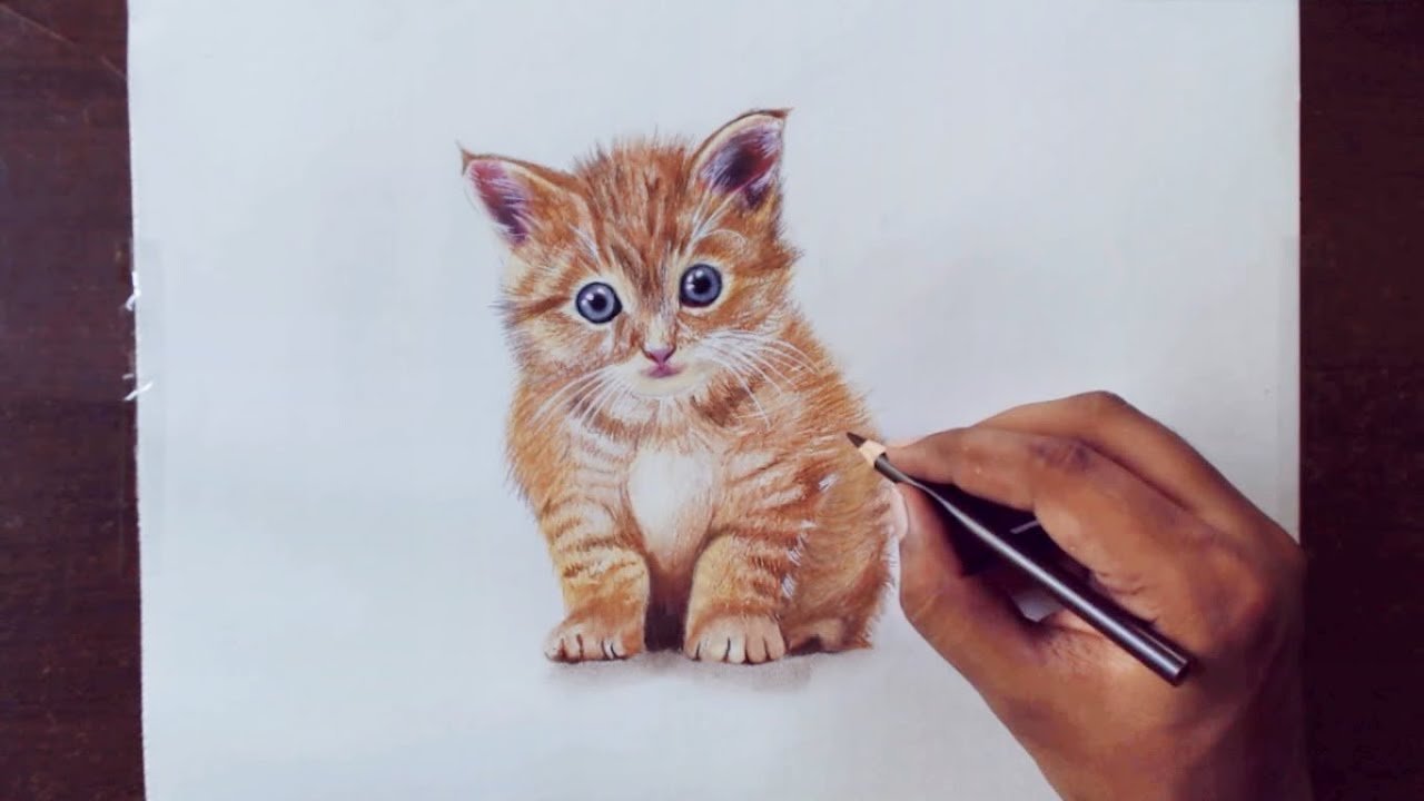 Котенок цветными карандашами