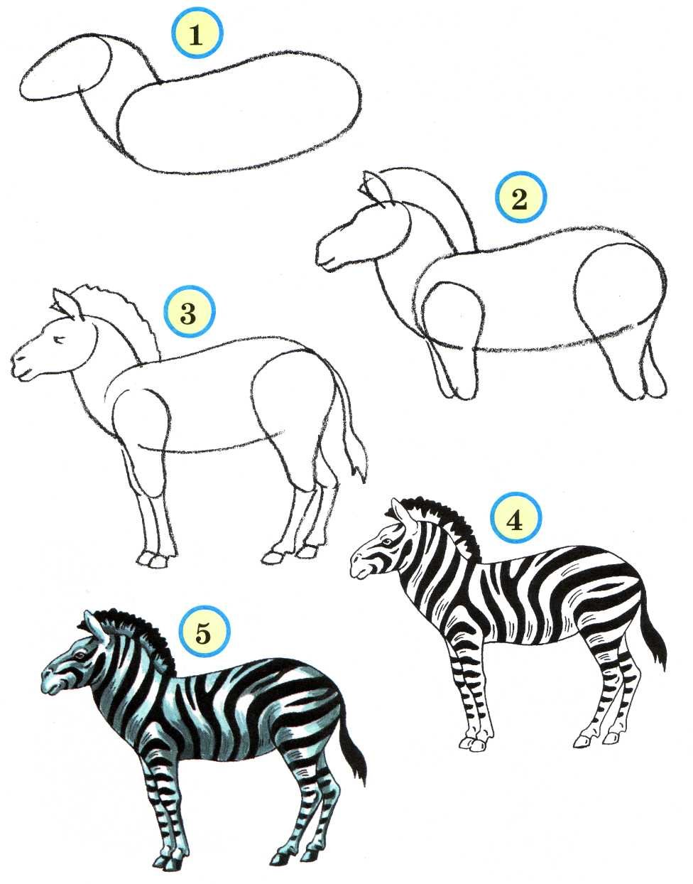 Поэтапное рисование животных для детей