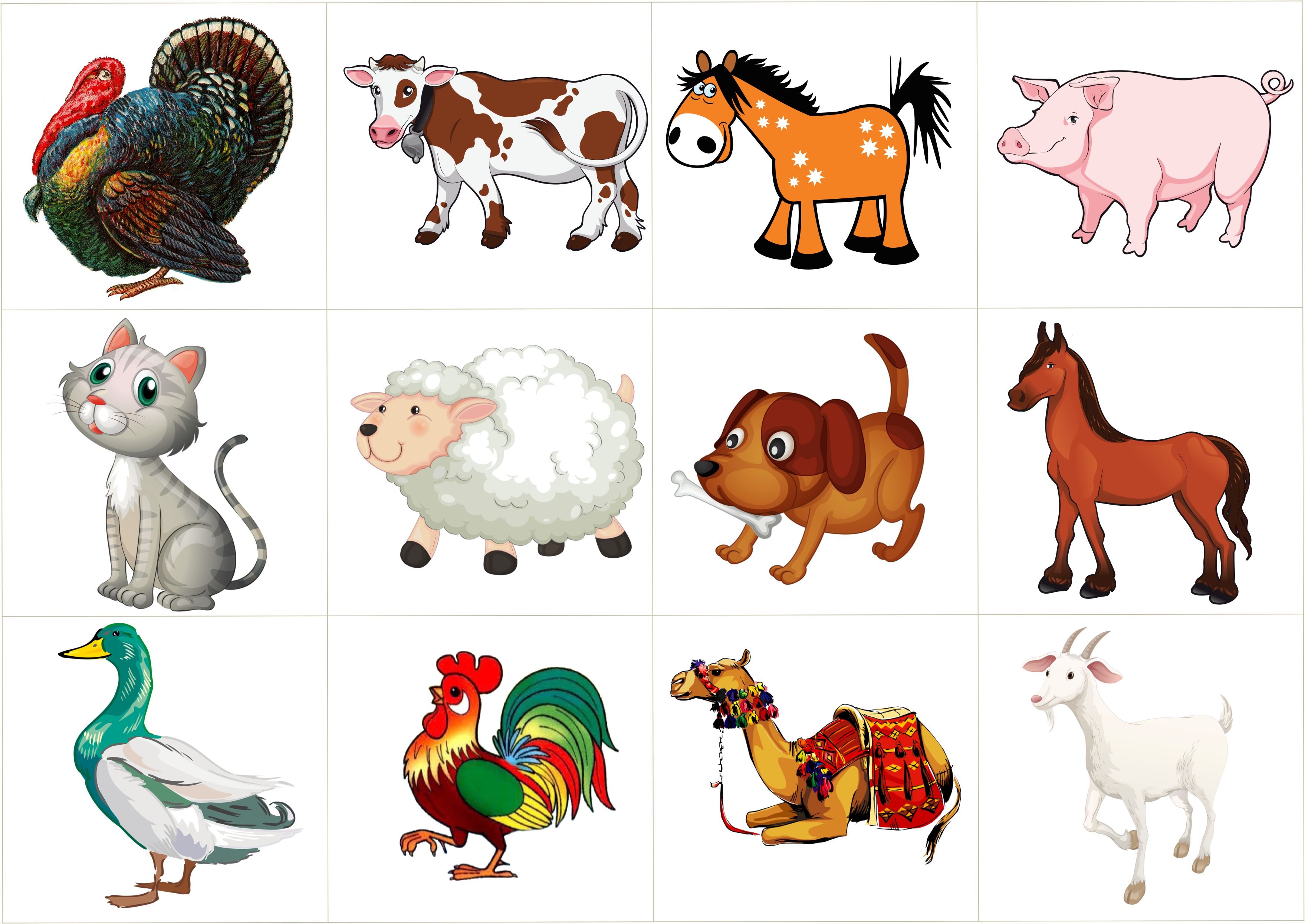 картинки про животных для детей 1 года