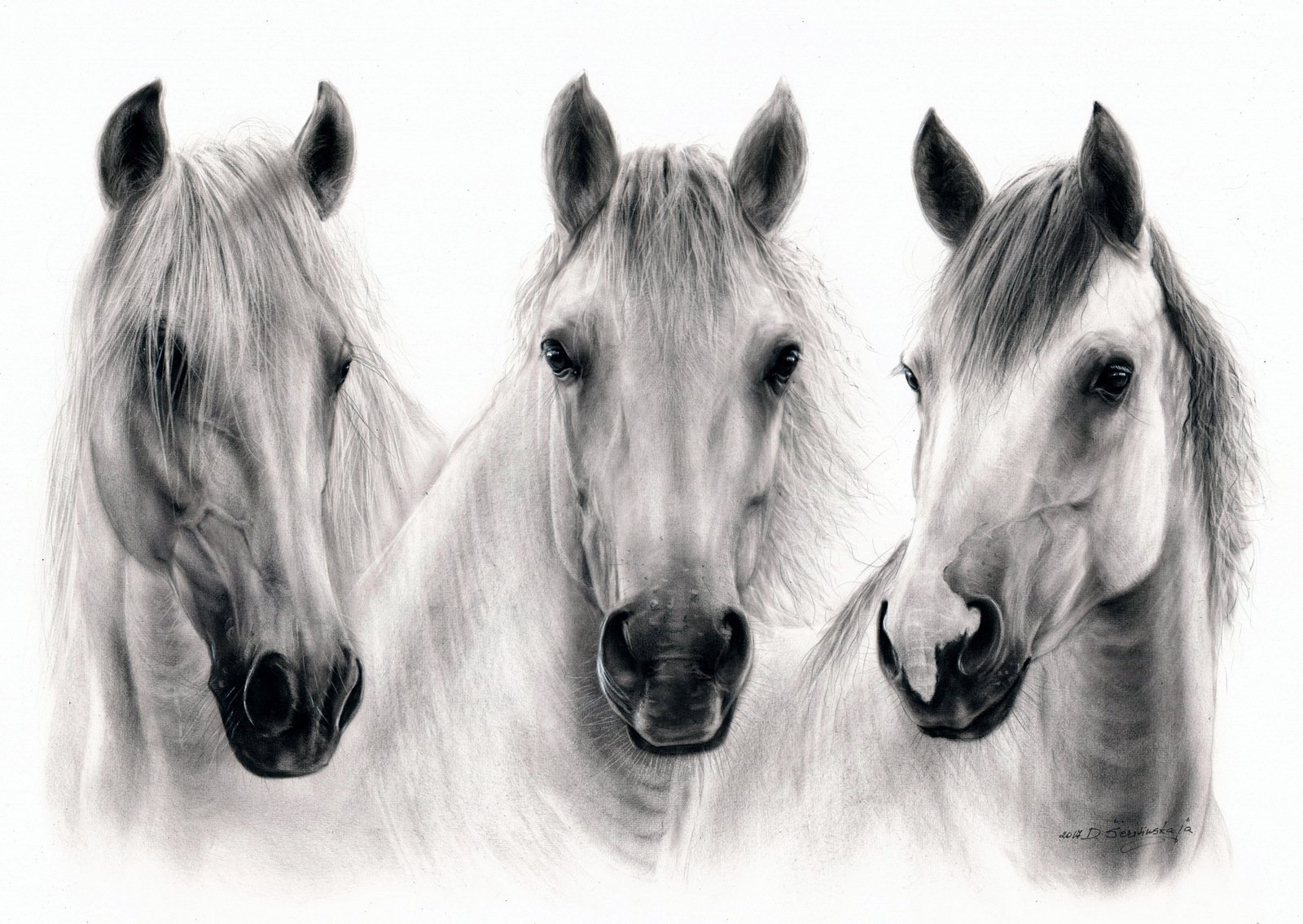 Тройка лошадей карандашом