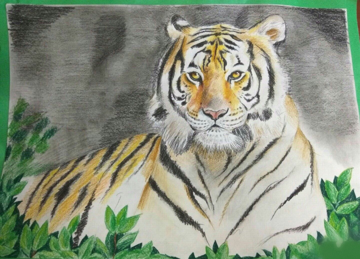 Нарисовать Уссурийского тигра
