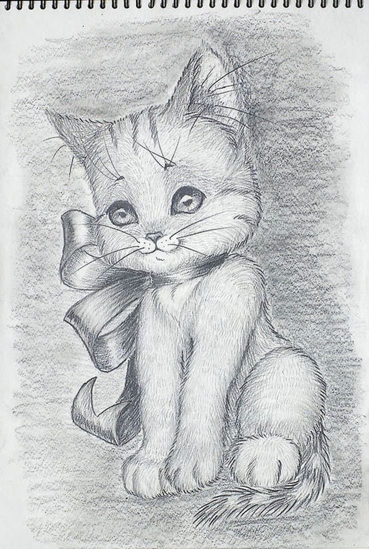 Котенок рисунок
