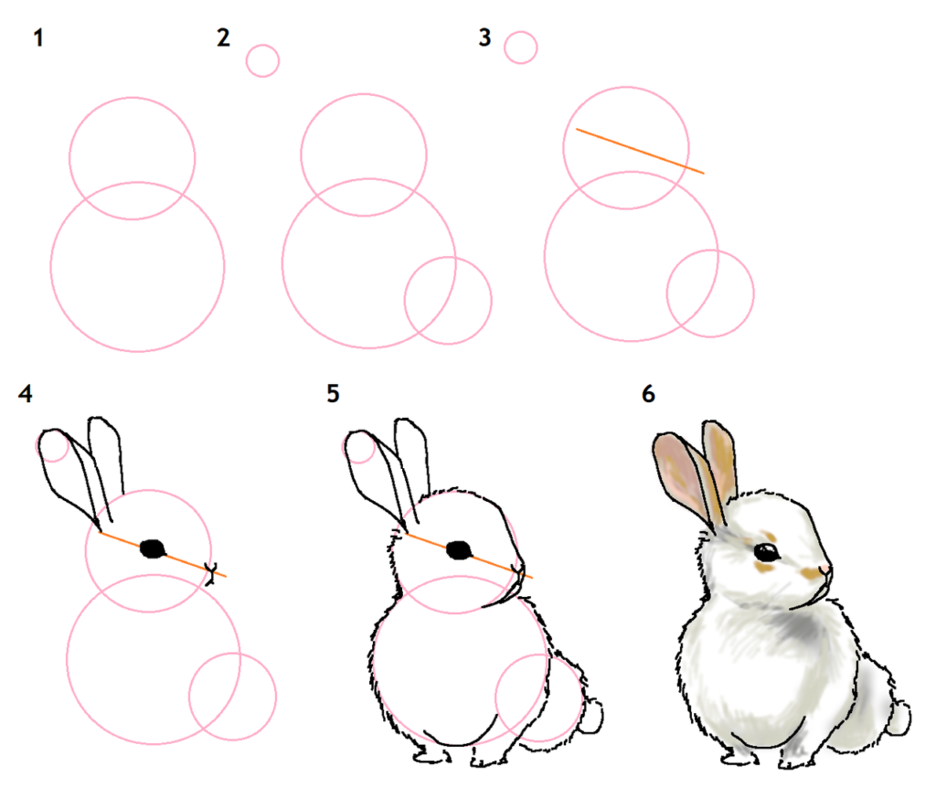 Нарисовать зайчика карандашом поэтапно. Поэтапное рисование кролика. Пошаговое рисование кролика для детей. Поэтапный рисунок кролика. Кролик рисунок для детей пошагово.