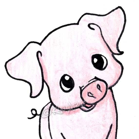 Картинки для срисовки свинья