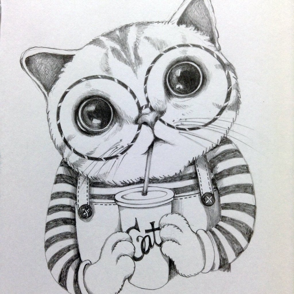 Милый котик карандашом