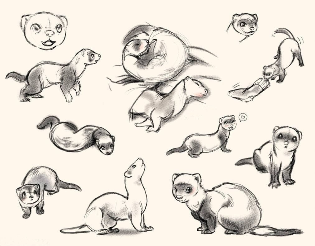 Стилизация животных рисунки карандашом