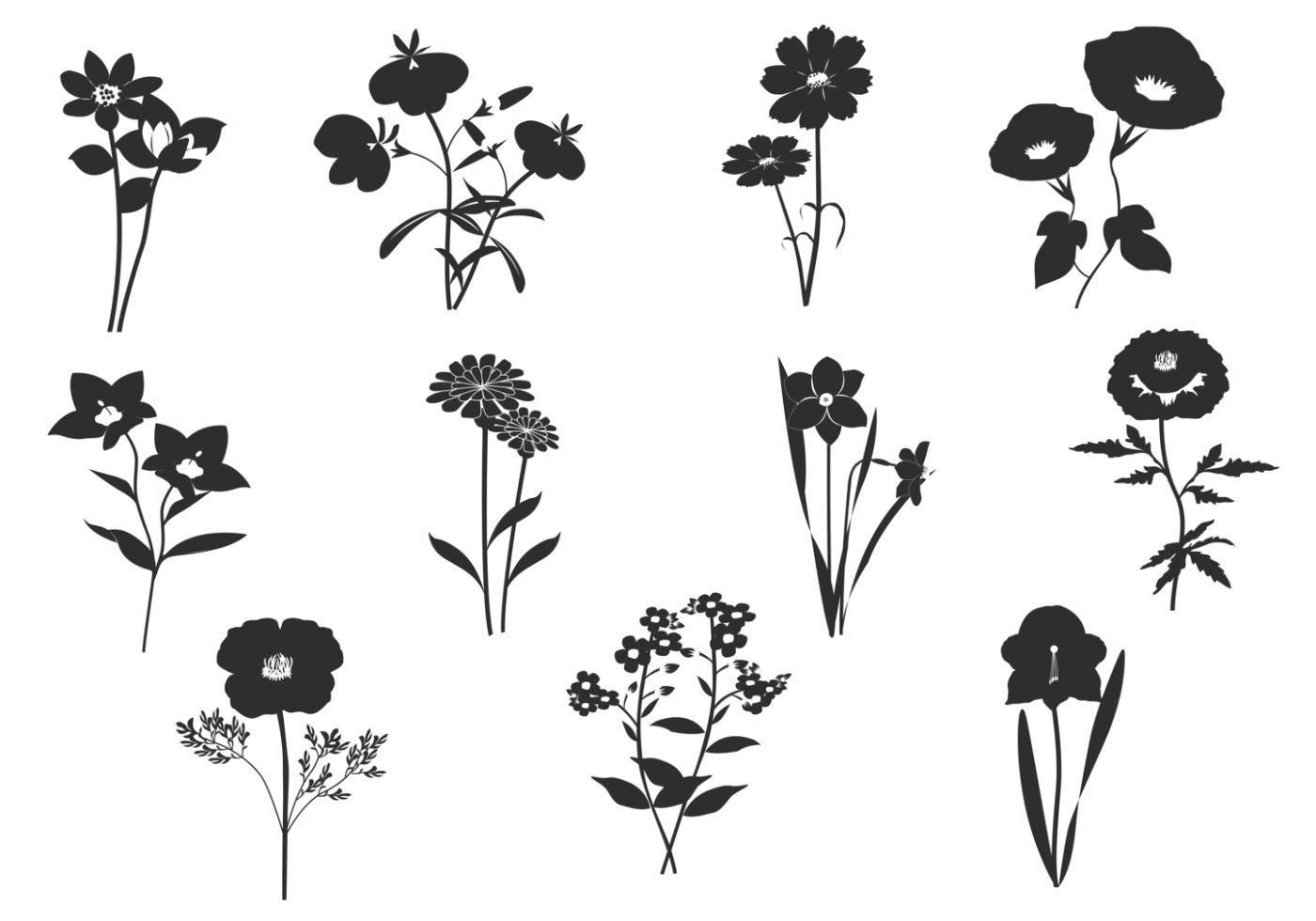Векторные изображения цветы