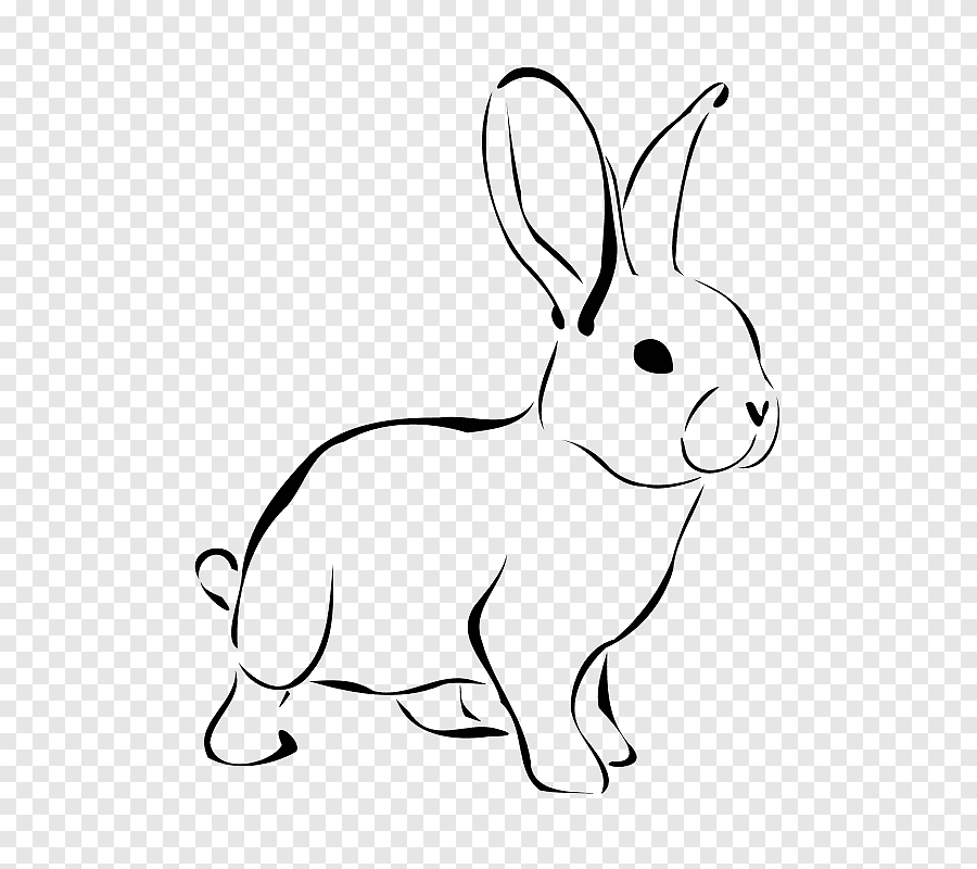 Белый заяц на черном фоне рисунок (45 фото) » рисунки для срисовки на  Газ-квас.ком