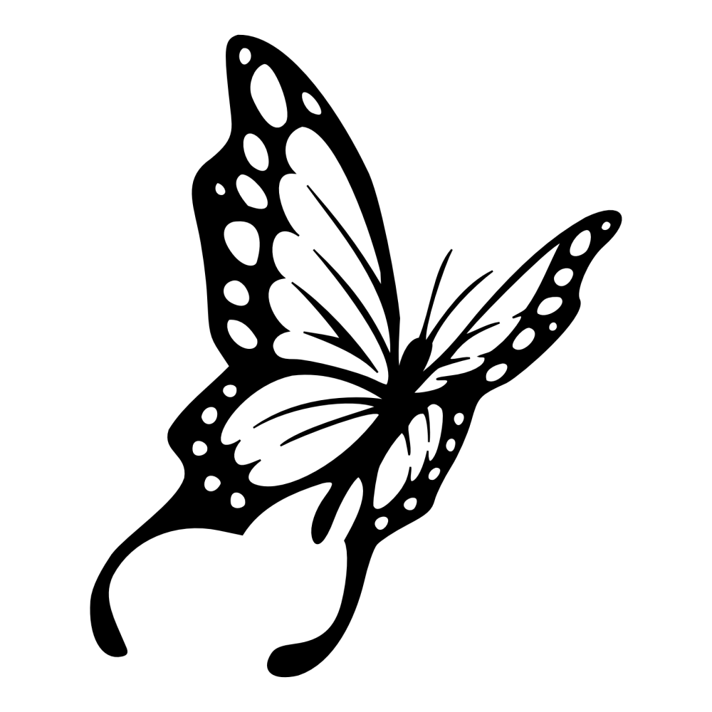 Черно белое изображение png. Черно белые бабы. Бабочка черно белая. Трафареты бабочки. Бабочка эскиз.